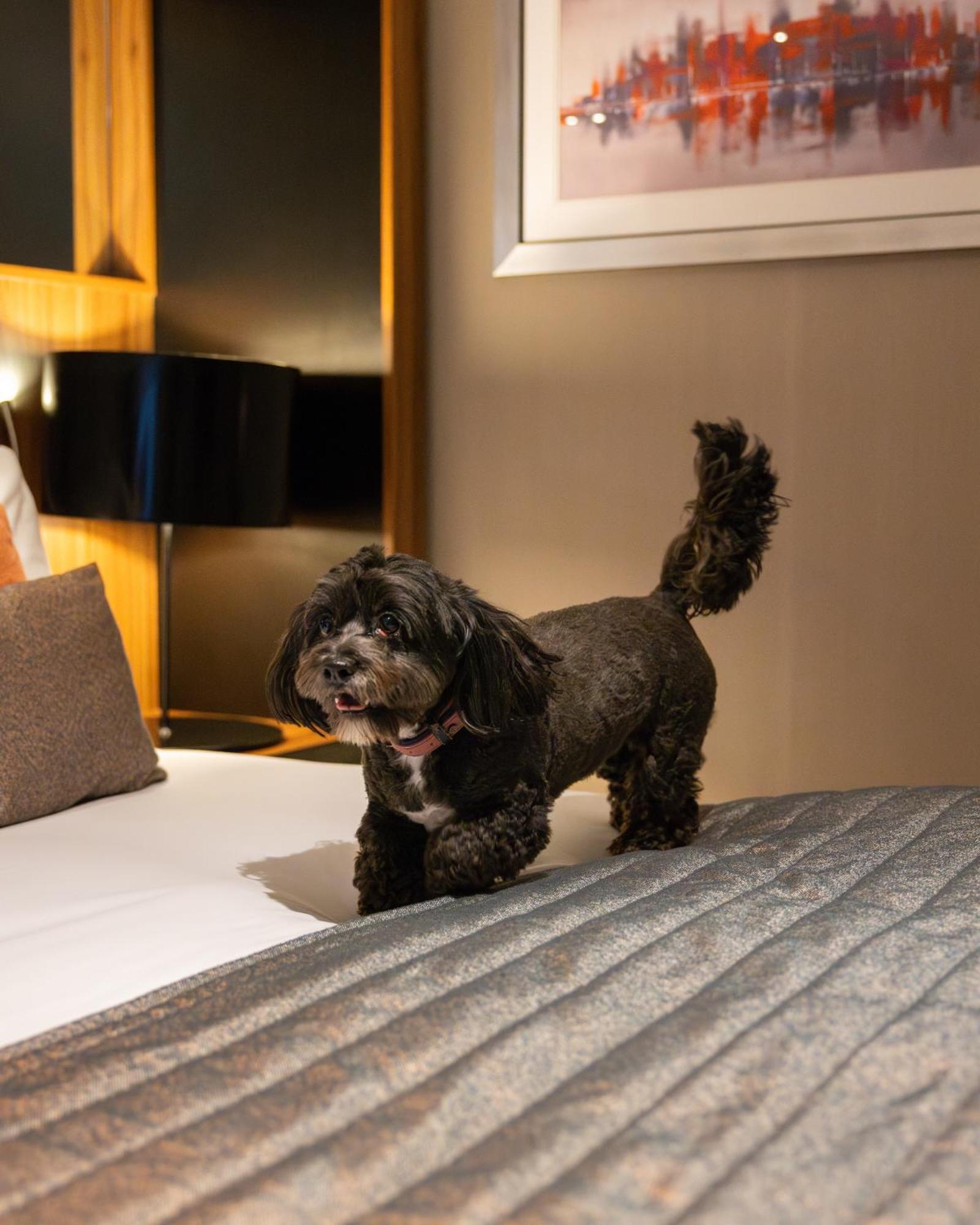 Crowne Plaza Gerrards Cross By Ihg Hotell Beaconsfield Eksteriør bilde